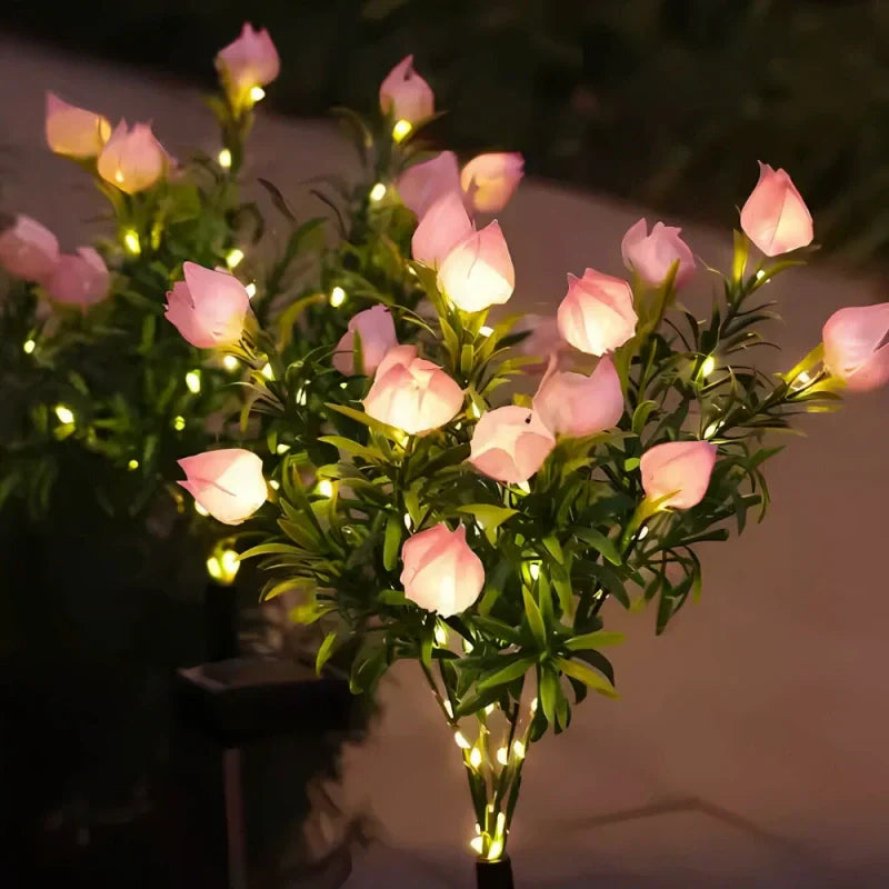 Colorful Solar Powered Garden Lights