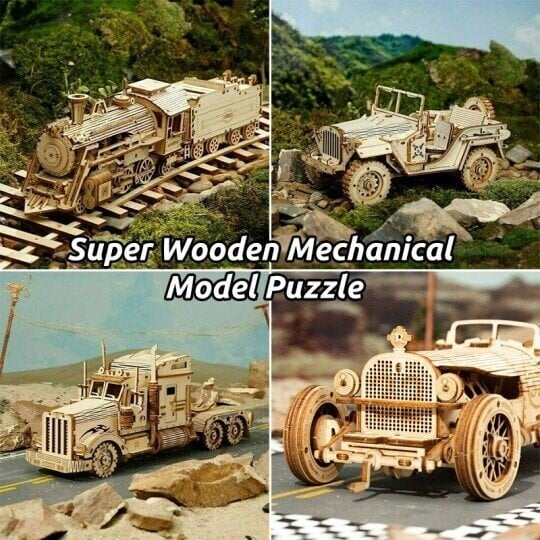 Challenging Wooden 3D Brain Teaser Puzzle