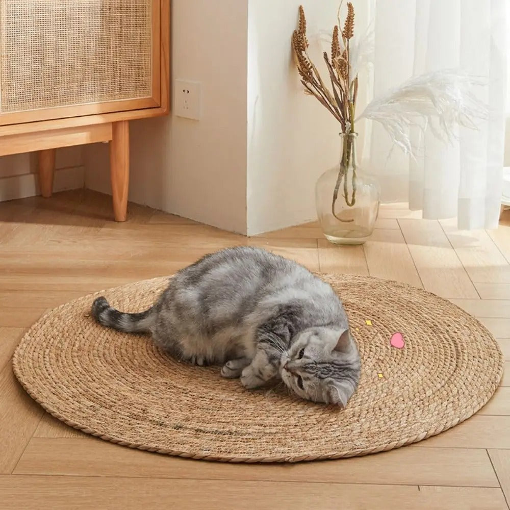Fesara | KrazeLuxe Matte - Durable Scratch Pad for Cats