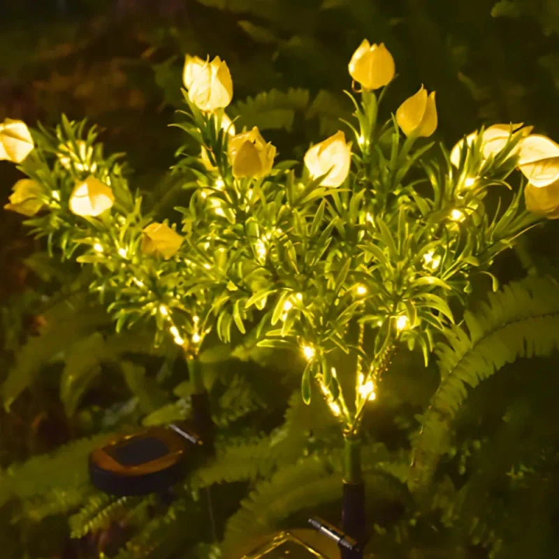 Colorful Solar Powered Garden Lights