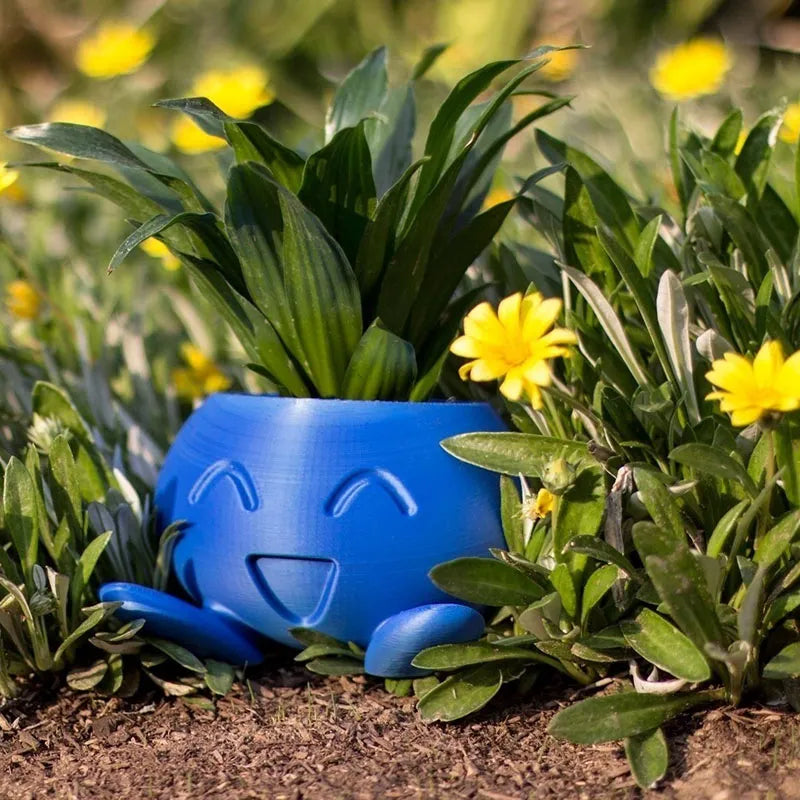 Colorful Indoor Plant Display Pot