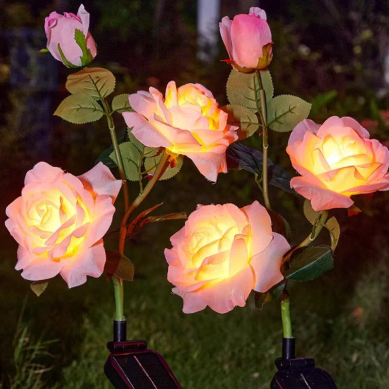 Colorful Solar Powered Garden Lights