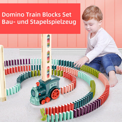 Colorful Wooden Domino Block Set