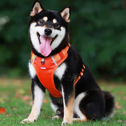Safe Visible Pet Harness