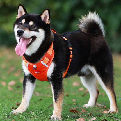 Safe Visible Pet Harness