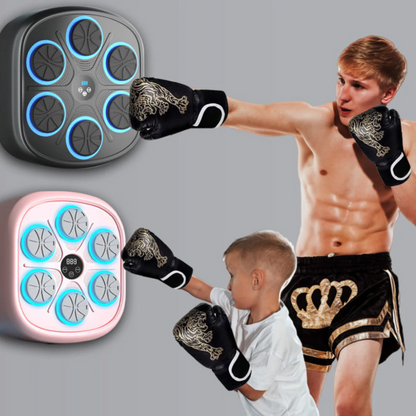 Home Boxing Punching Bag Machine