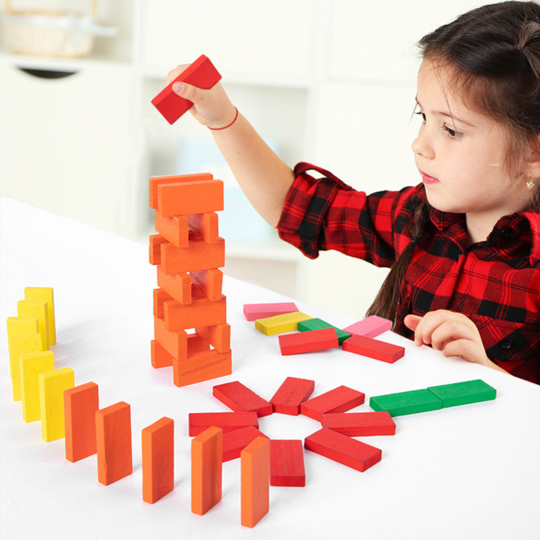 Natural Wood Educational Domino Blocks - Fesara