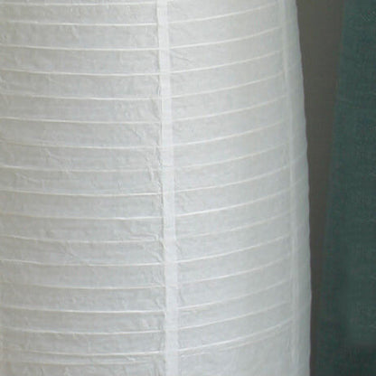 Tall Slim Paper Shade 2-Light Floor Lamp