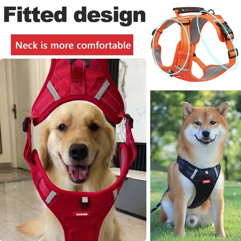 Safe Visible Pet Harness