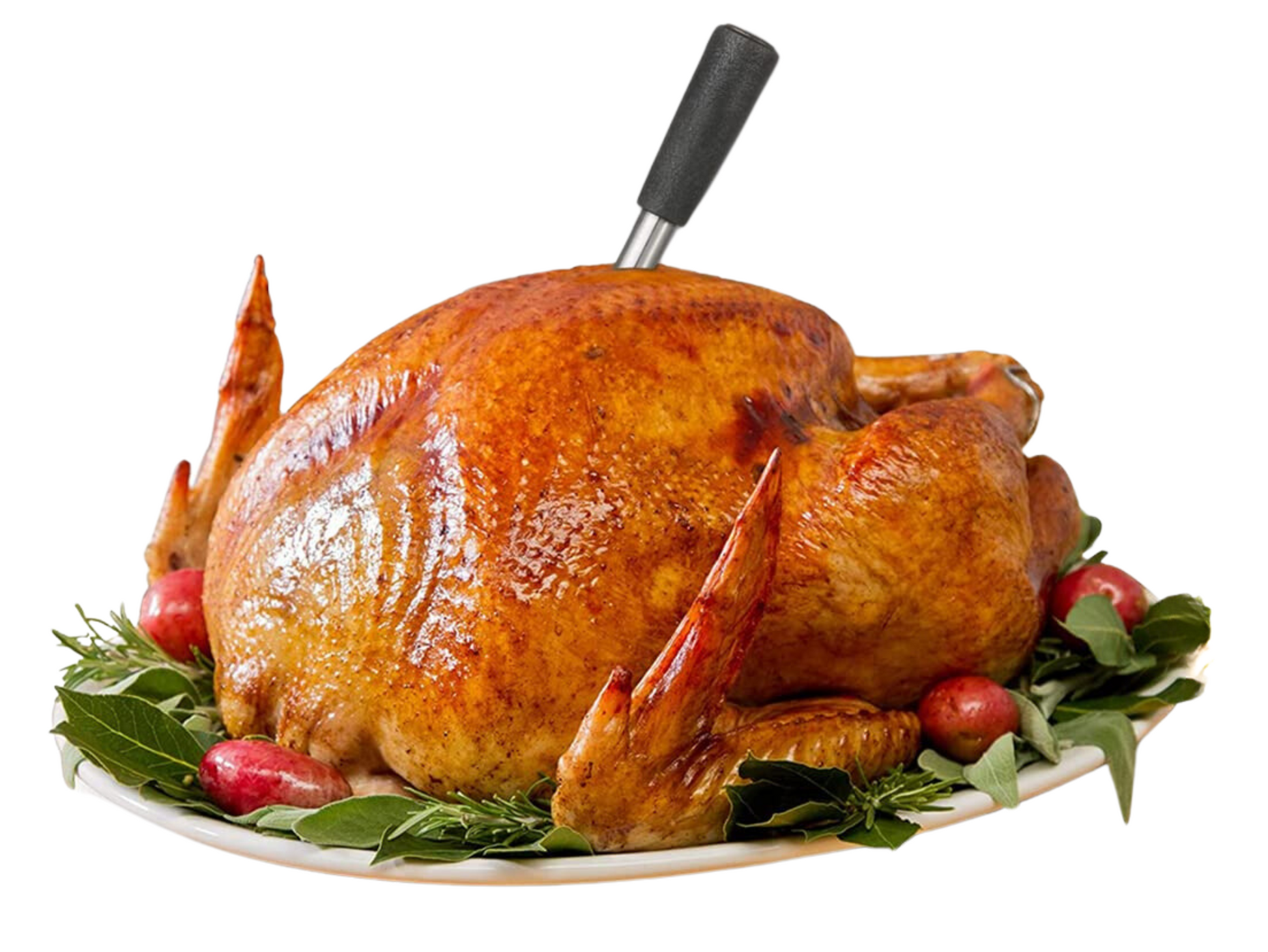 Digital BBQ Meat Thermometer for Perfect Grilling Results - Fesara