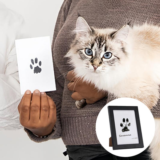 Personalized Pet Paw Photo Frame Kit - Fesara