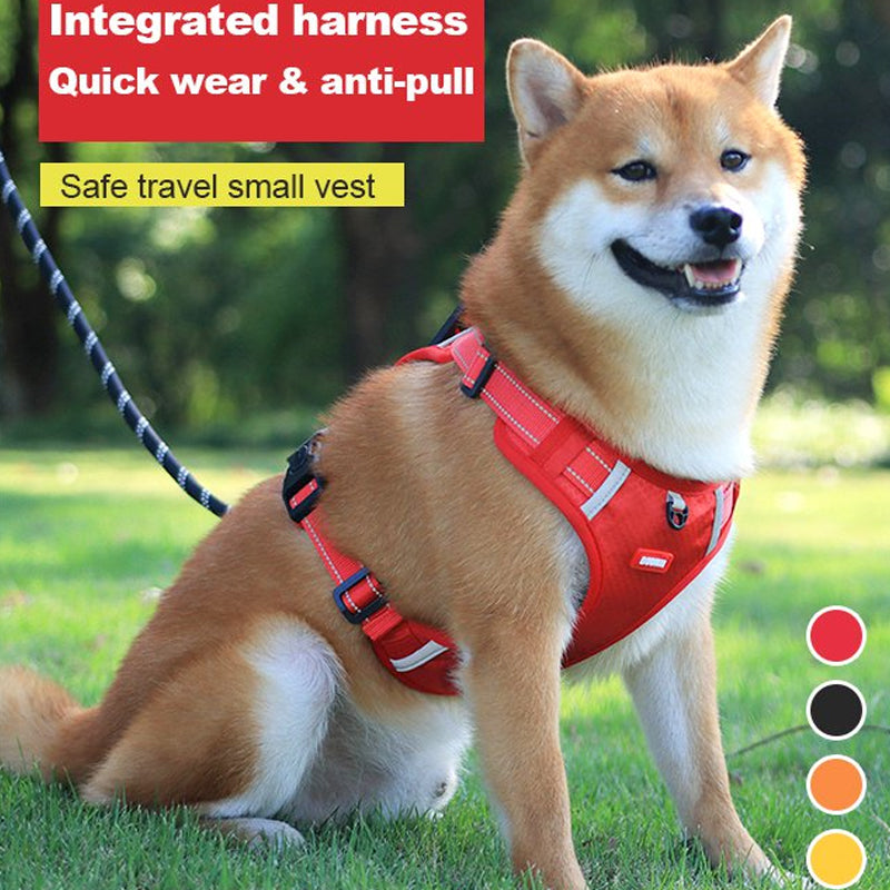 Safe Visible Pet Harness