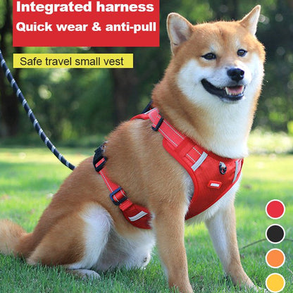 Safe Visible Pet Harness