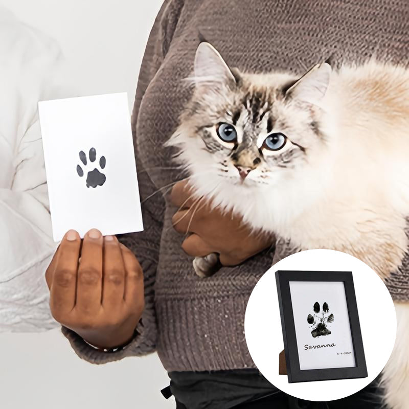 Easy Pet Paw Print Art Kit