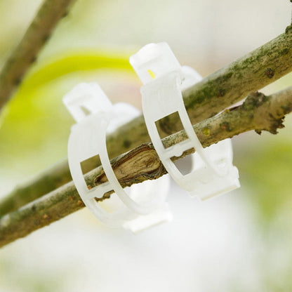 Easy Plant Holder Clip