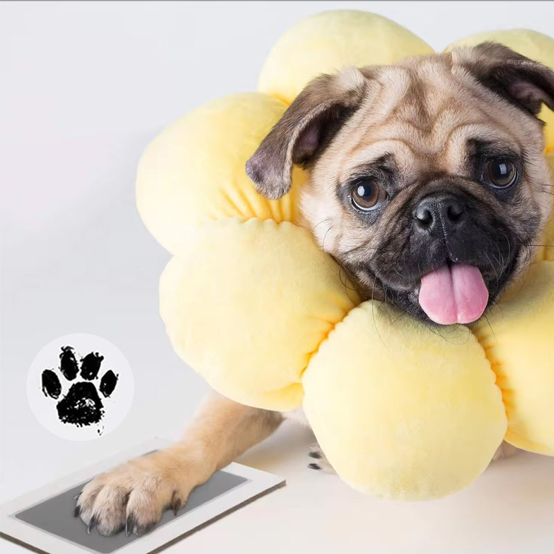 Personalized Pet Paw Photo Frame Kit