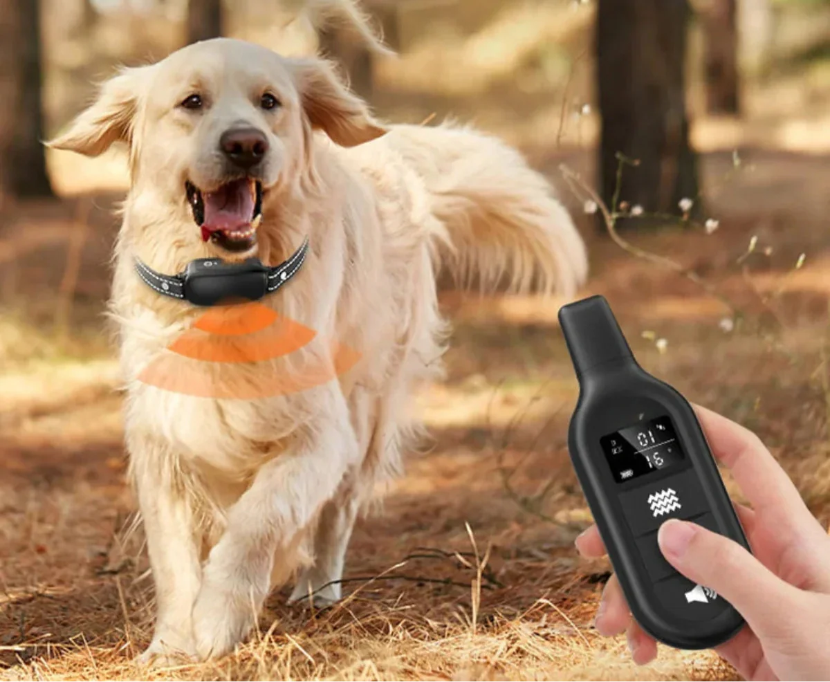 Wireless Pet Training Collar