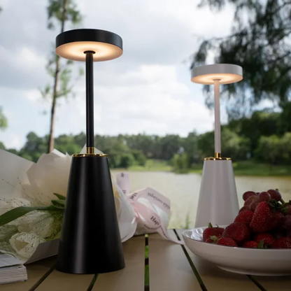 Contemporary Metal Cone Portable Desk Lamp