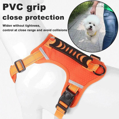 Safe Visible Pet Harness