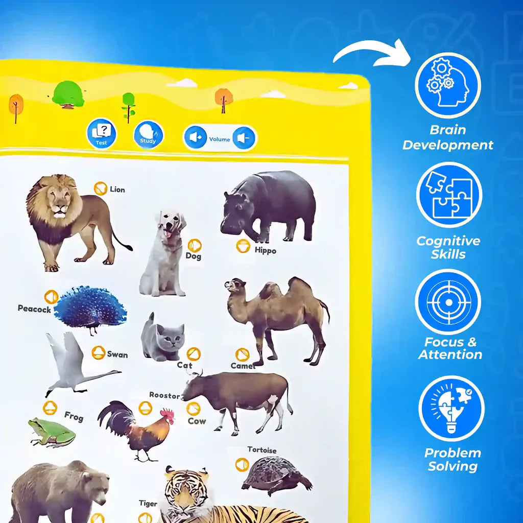 Fun English Language Learning Book for Kids