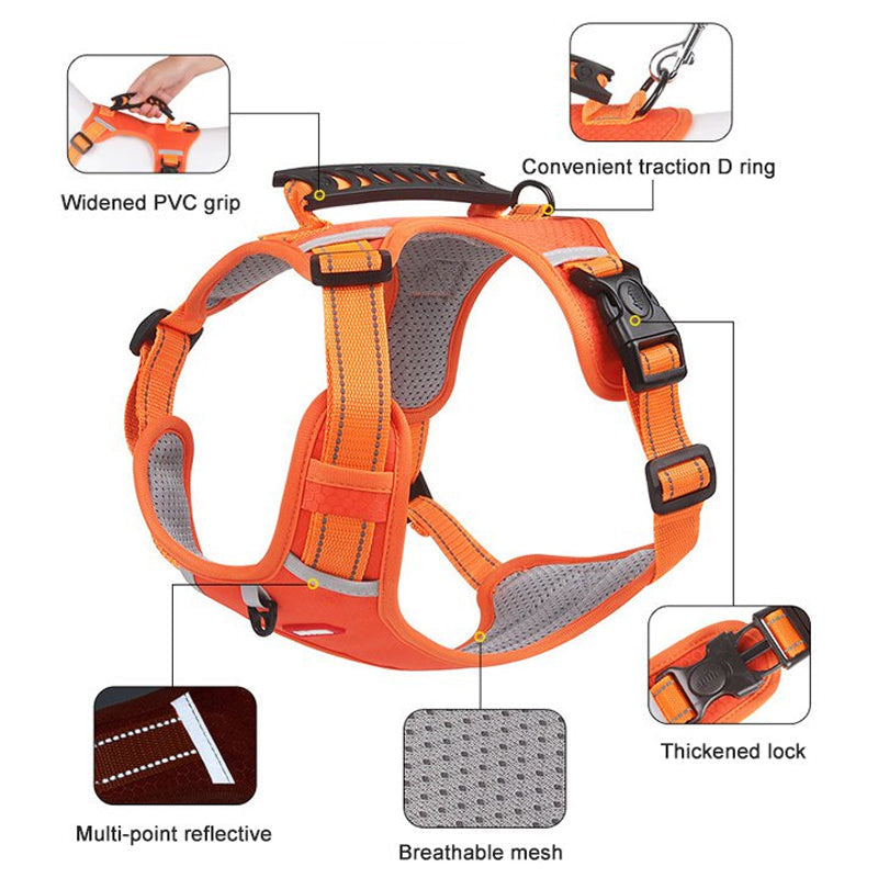 Safe Visible Pet Harness
