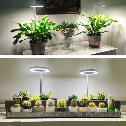 Smart LED Plant Light with Timer and USB Charging
