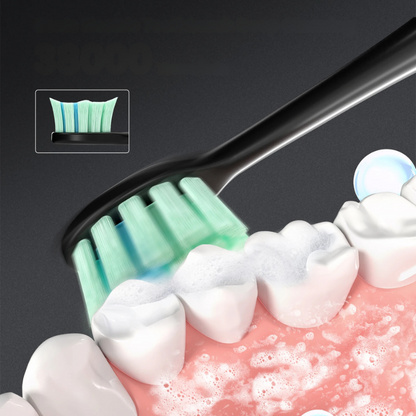 Electric Toothbrush with Replaceable Heads