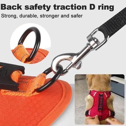 Safe Visible Pet Harness
