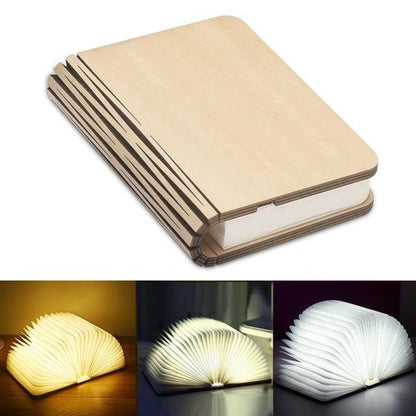 Compact LED Reading Light with Flexible Arm
