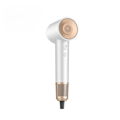 Fast Ionic Salon Hair Dryer