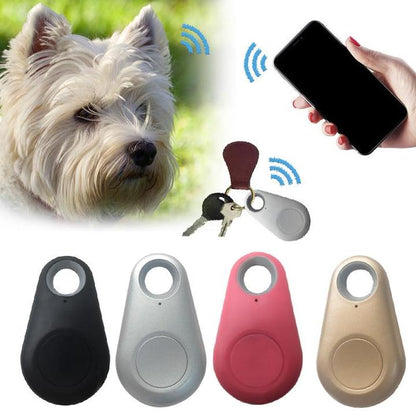 Small GPS Pet Locator Device