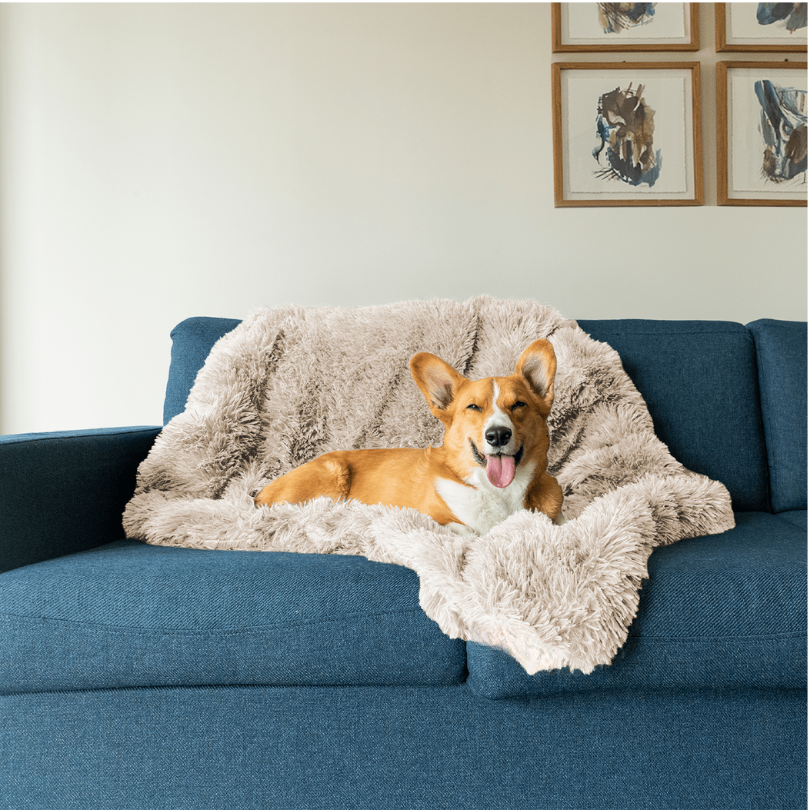 Cozy Plush Dog Blanket - Soft Machine Washable Pet Throw - Fesara