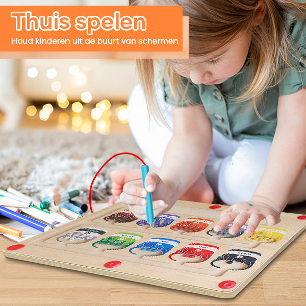 Fun Learning Magnetic Maze Board
