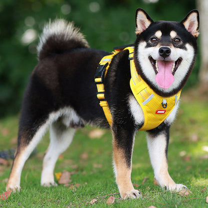 Safe Visible Pet Harness