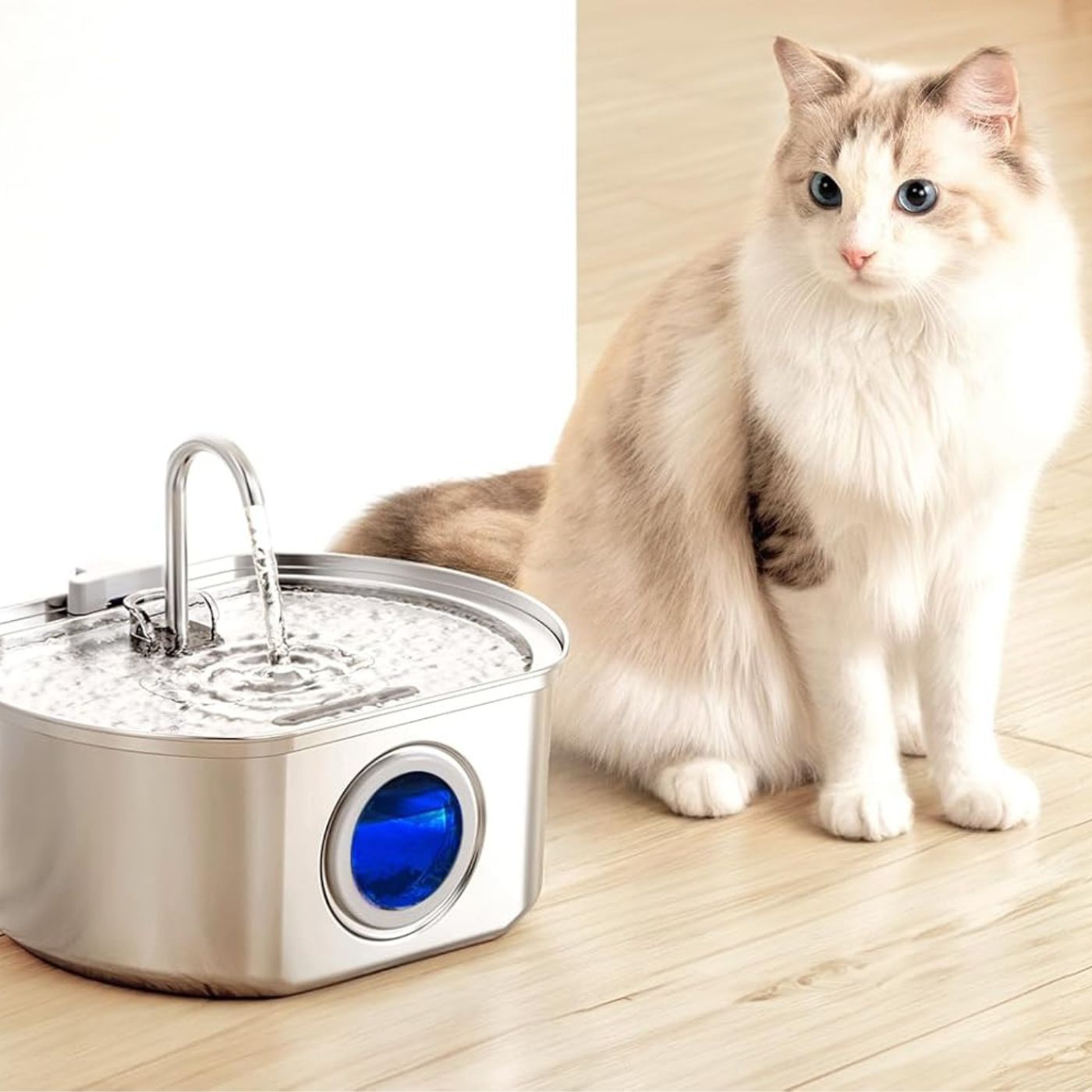 Pet Stainless Steel Water Fountain with Flowing Stream