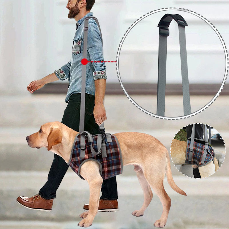 Comfortable Dog Support Harness for Back Legs