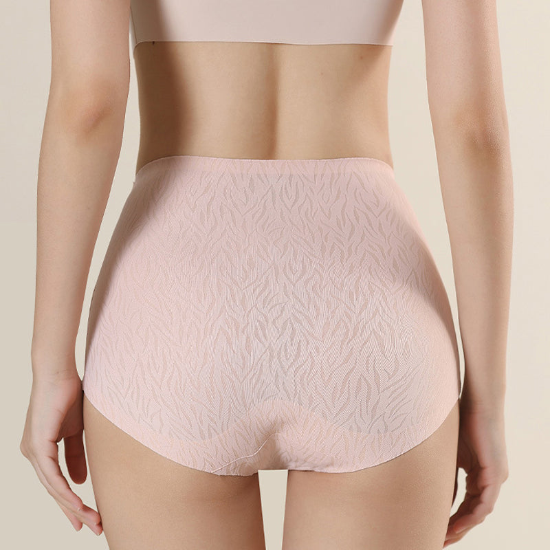 Fesara | Comfortable High Waisted Shaping Briefs