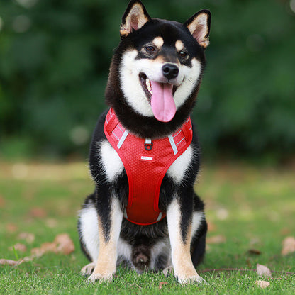 Safe Visible Pet Harness