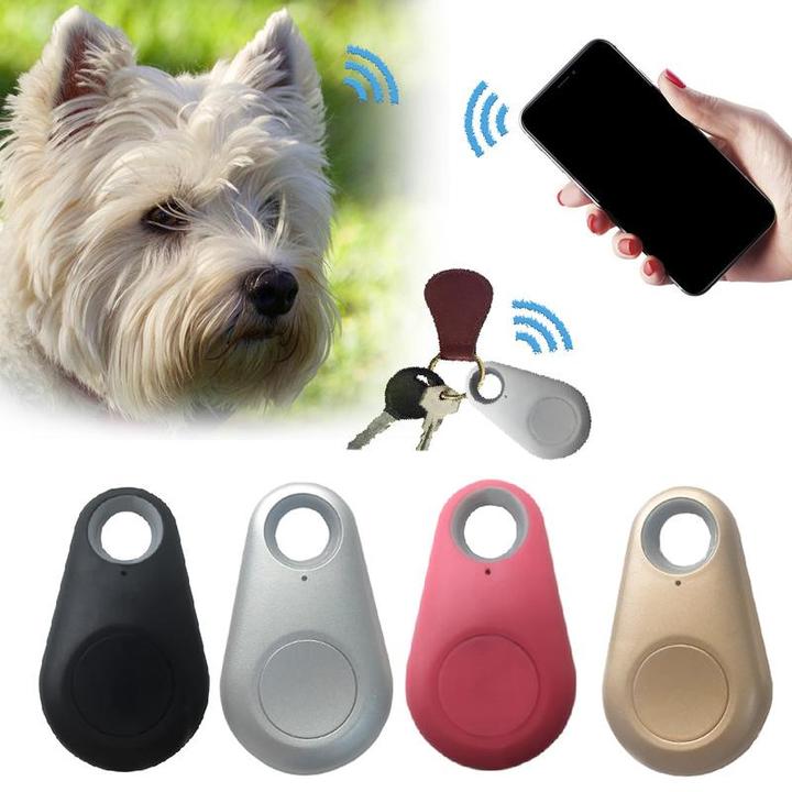 Compact Pet GPS Tracker with Long Battery Life