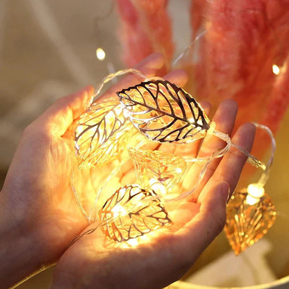 Delicate String Fairy Lights - Fesara