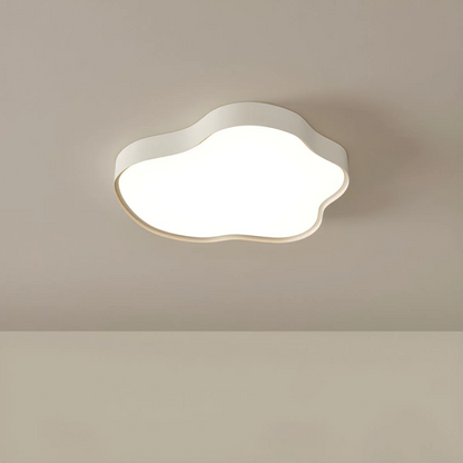 Modern LED Overhead Light - Fesara