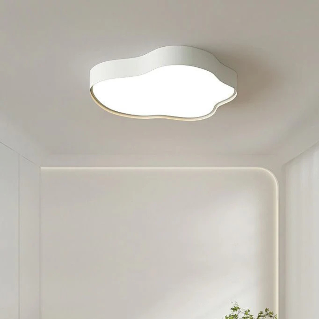 Modern LED Overhead Light