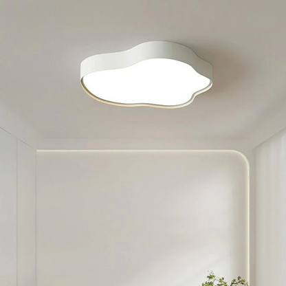 Modern LED Overhead Light