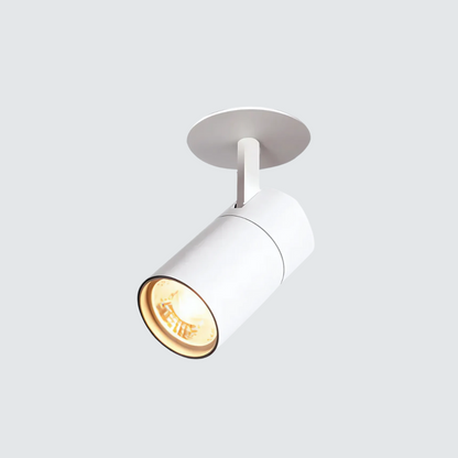Fesara Contemporary LED Ceiling Light Fixture