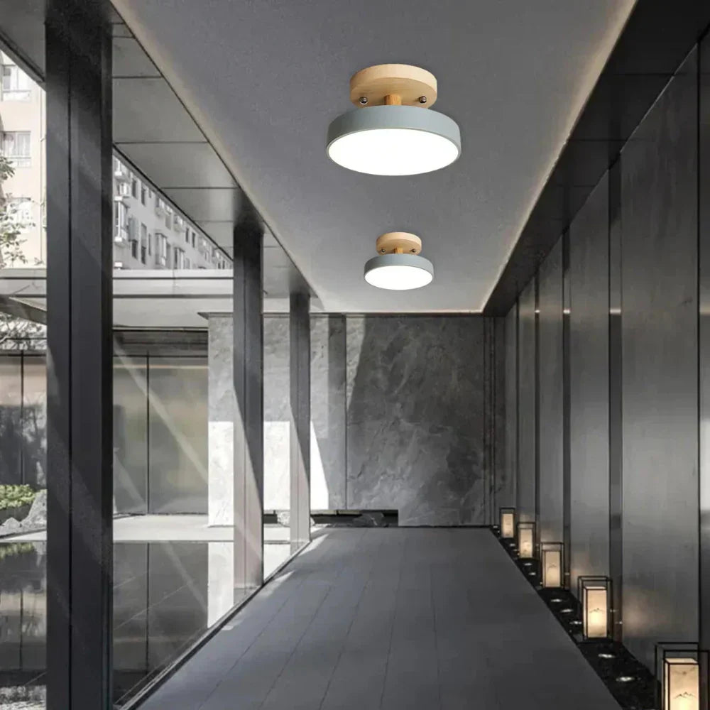 Slim Contemporary LED Ceiling Light