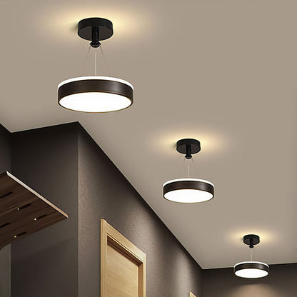 Sleek Modern Black Gold Pendant Light