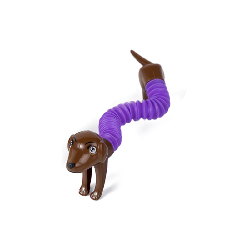 Fun Interactive Pet Toy