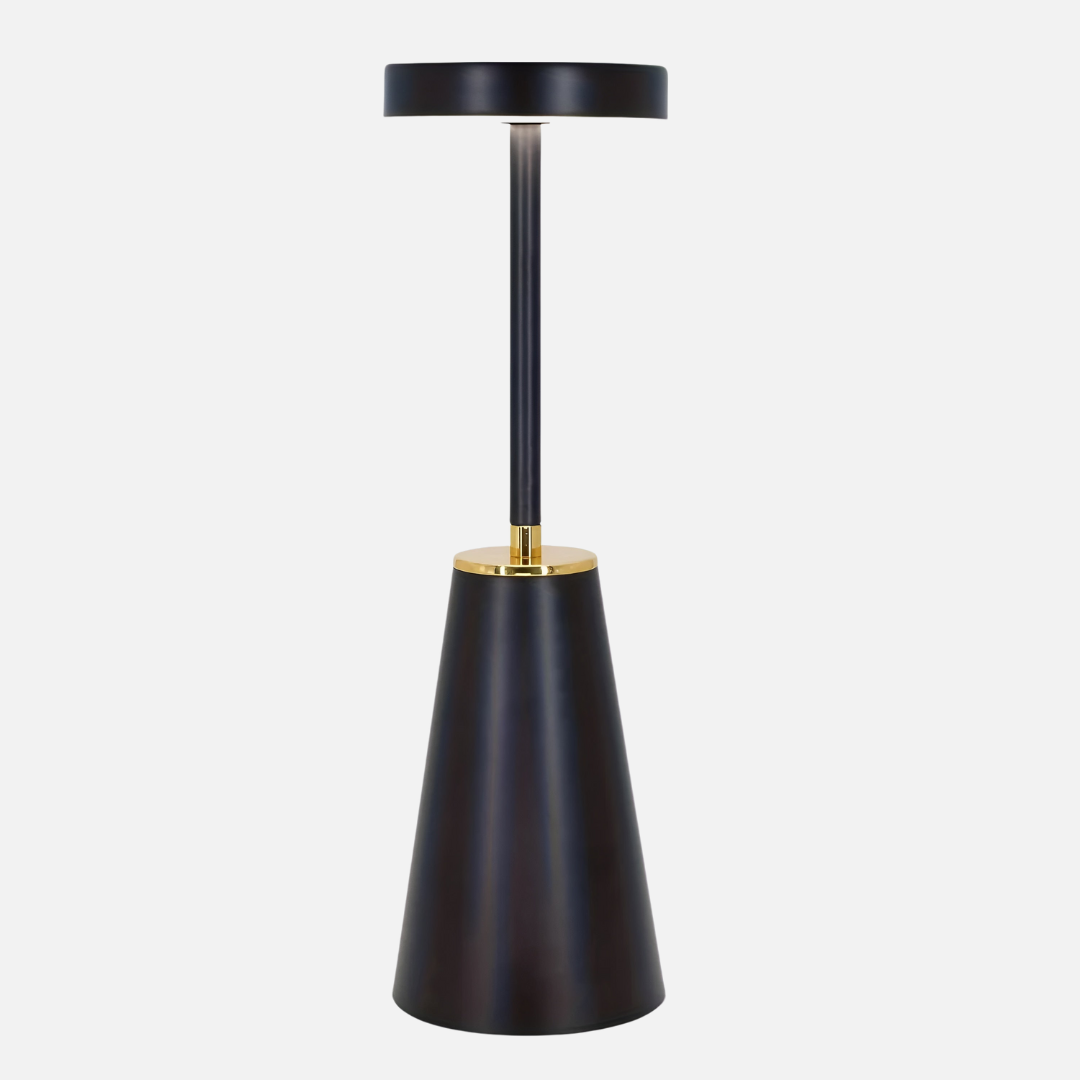 Contemporary Metal Cone Portable Desk Lamp