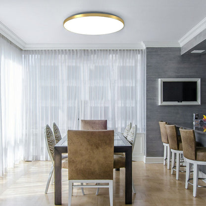 Sleek Circular LED Ceiling Fixture Indoor Home Lighting
