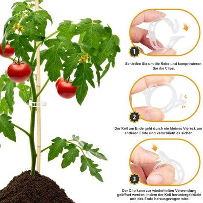 Easy Plant Holder Clip - Fesara